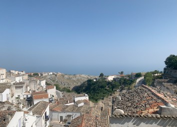 04 IMG 4108
